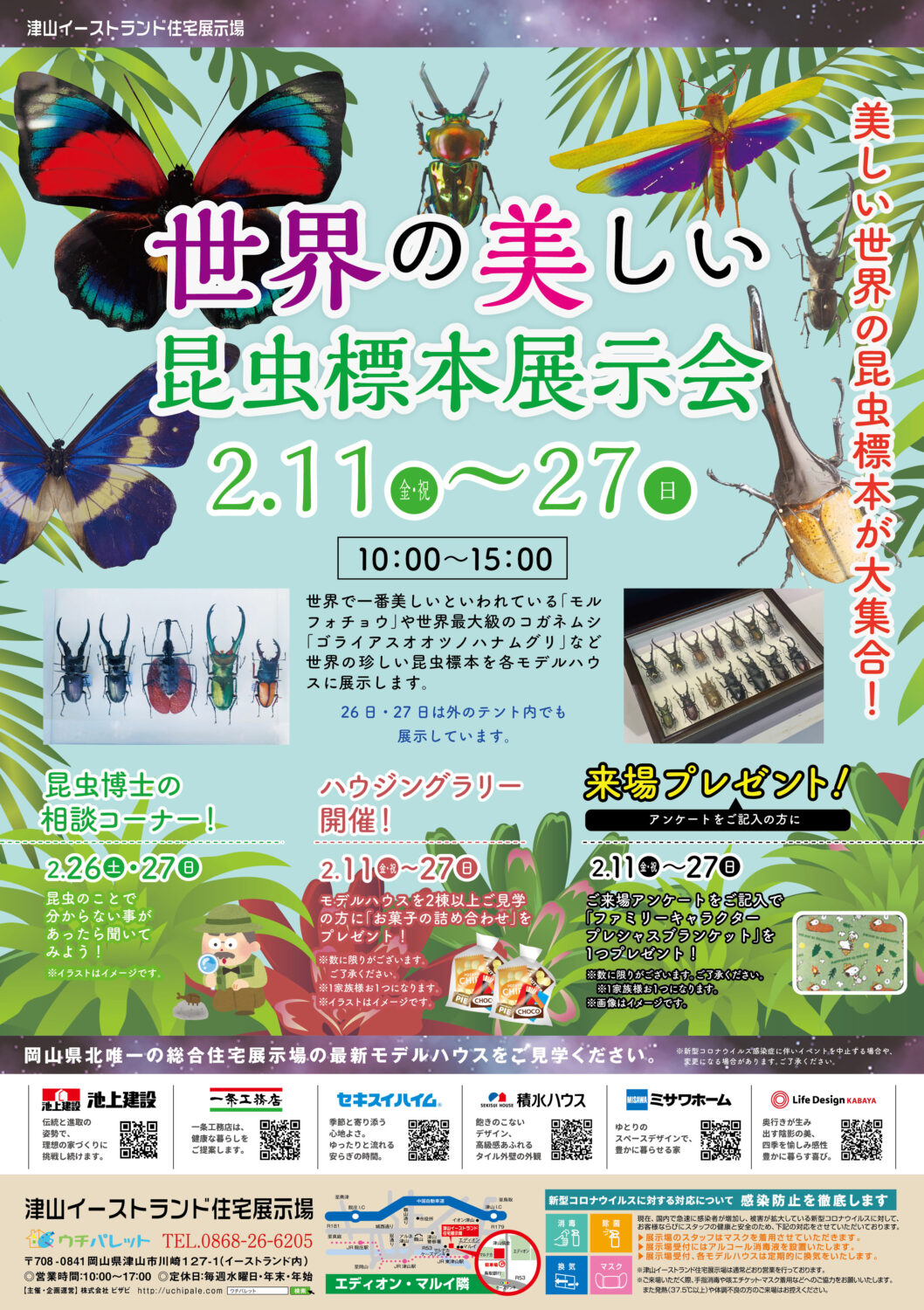 2/11(金・祝)~2/27(日)世界の美しい昆虫標本展示会開催!!